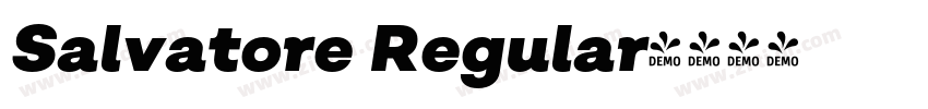Salvatore Regular字体转换